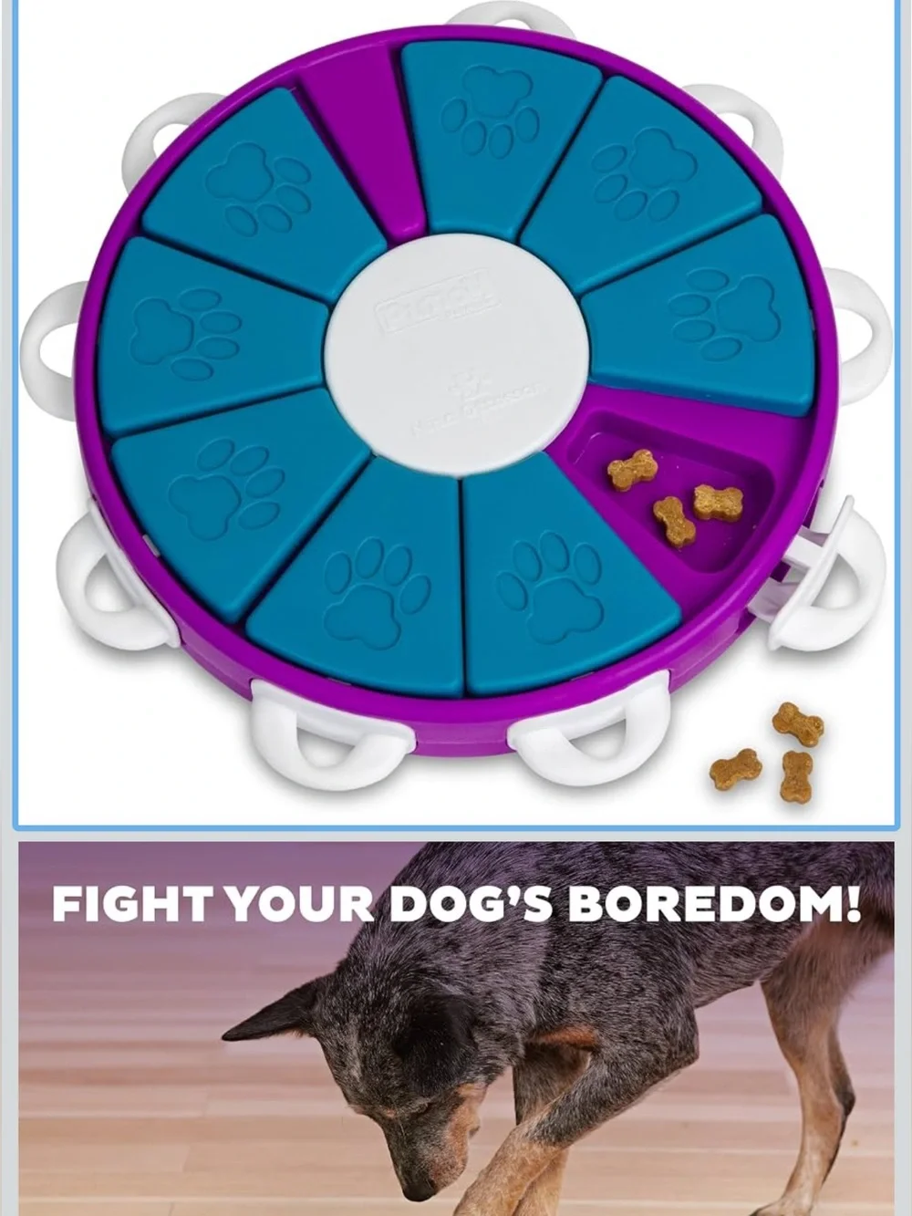 Outward Hound Puzzle Feeder - Purple & Teal Treat Game